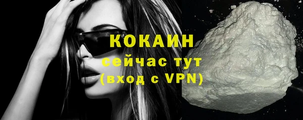 амф Верхний Тагил