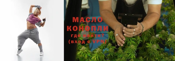 амф Верхний Тагил