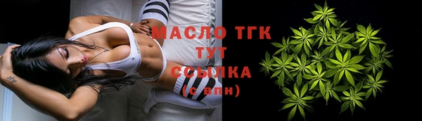 амф Верхний Тагил
