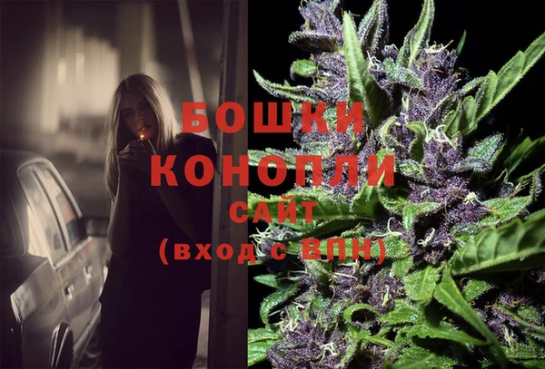 амф Верхний Тагил