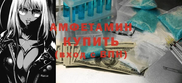 амф Верхний Тагил