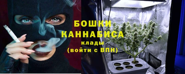 прущий лед Богданович