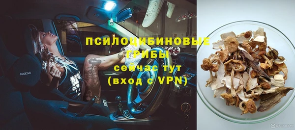 амф Верхний Тагил