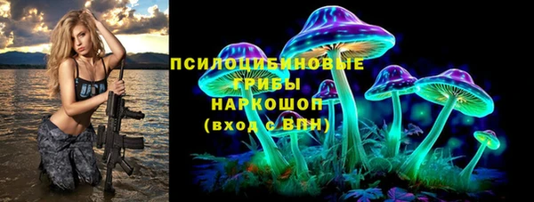амф Верхний Тагил