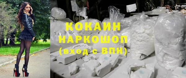 амф Верхний Тагил