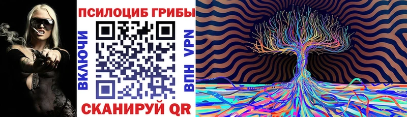 Галлюциногенные грибы Cubensis  цена наркотик  Волчанск 