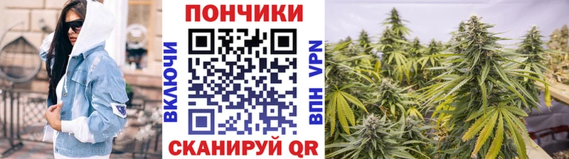 Канабис план  Волчанск 